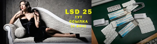 ГАЛЛЮЦИНОГЕННЫЕ ГРИБЫ Липки