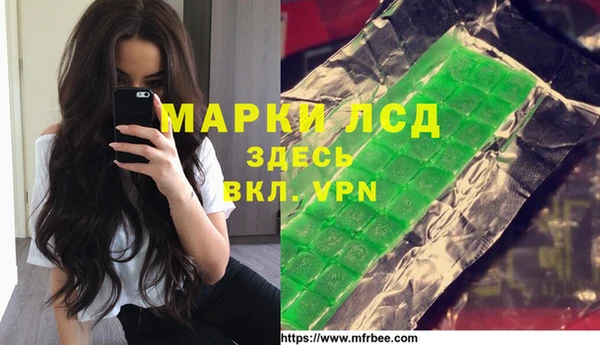 ГАЛЛЮЦИНОГЕННЫЕ ГРИБЫ Липки
