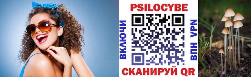 дарнет шоп  Янаул  Галлюциногенные грибы мицелий 