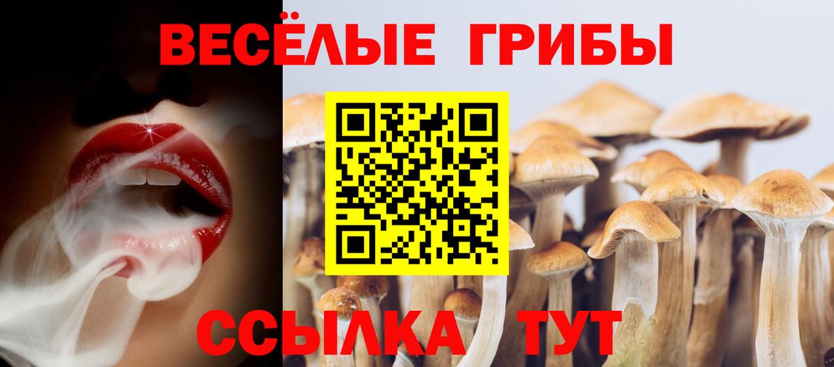 Галлюциногенные грибы Psilocybine cubensis  Вход с VPN  Псилоцибиновые грибы мухоморы  Янаул 